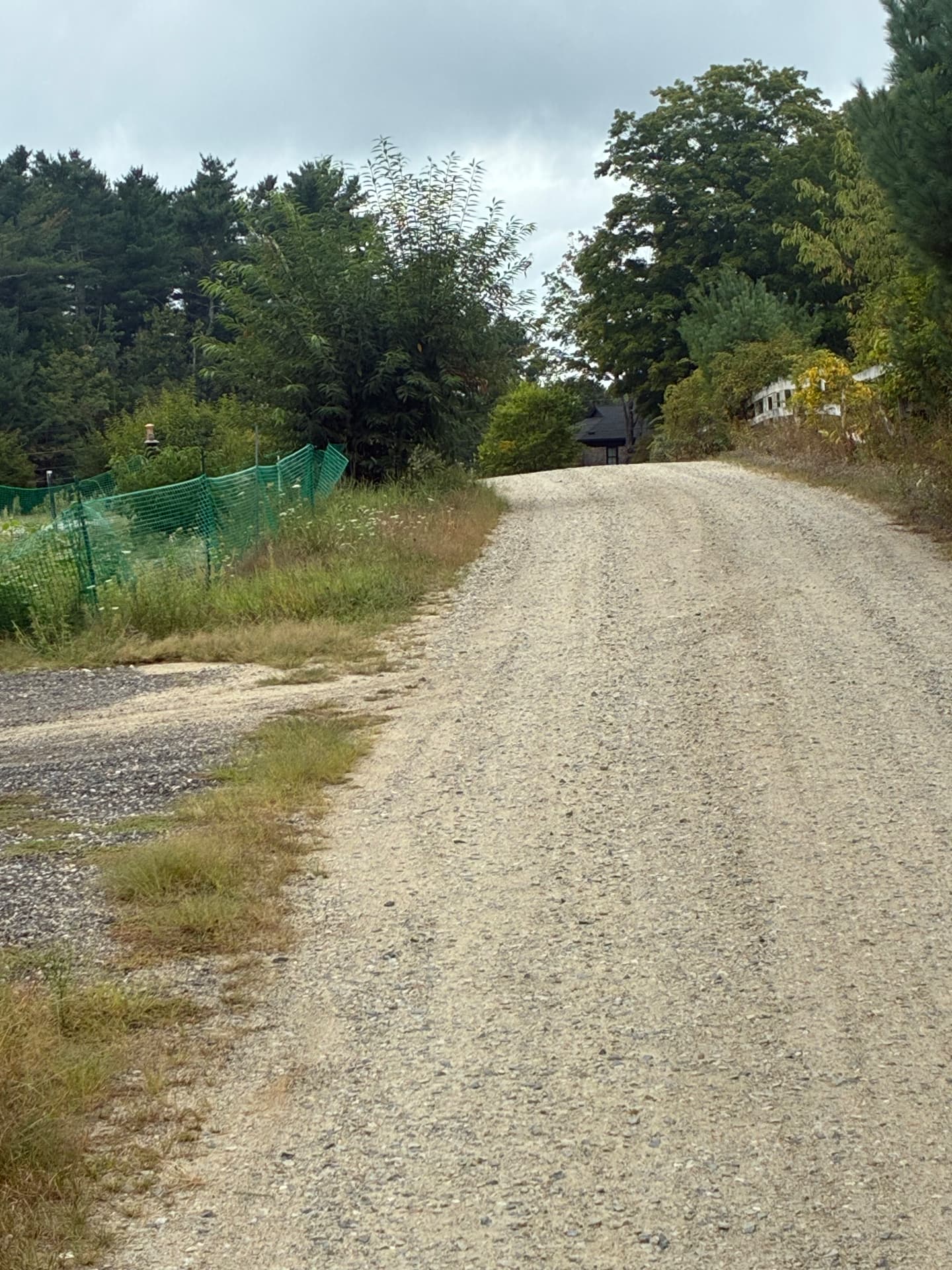 Gravel driveway climbing a gentle rise with the yard freshly graded along its edge