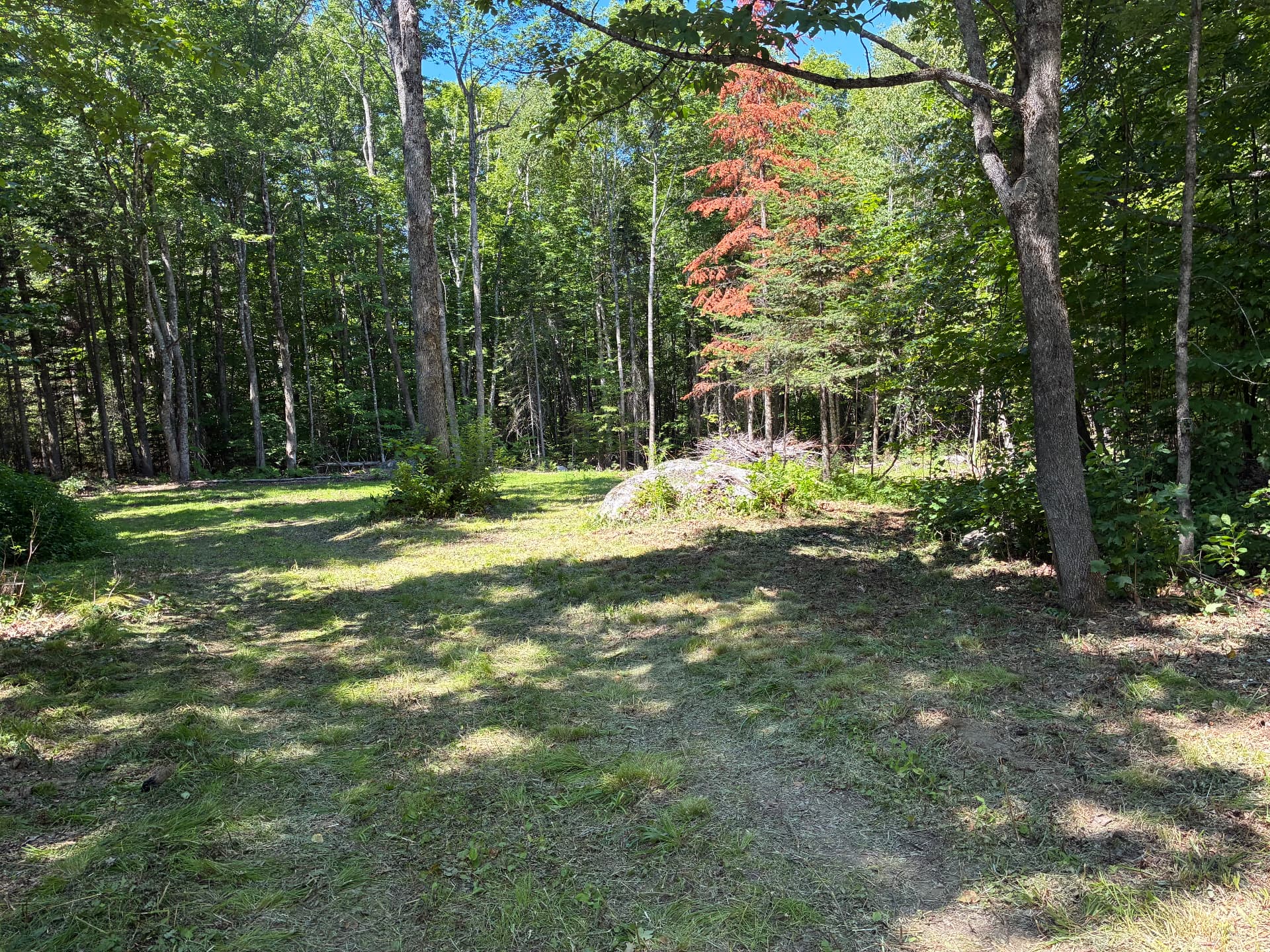 Cleared wooded lot with brush gathered after site preparation