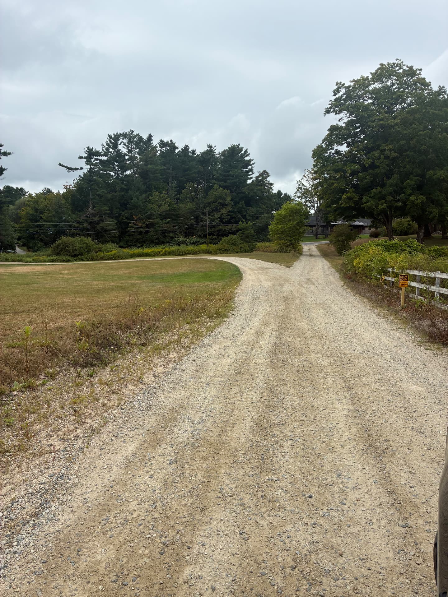 Fresh gravel driveway forking toward the house and back yard on a rural Maine property