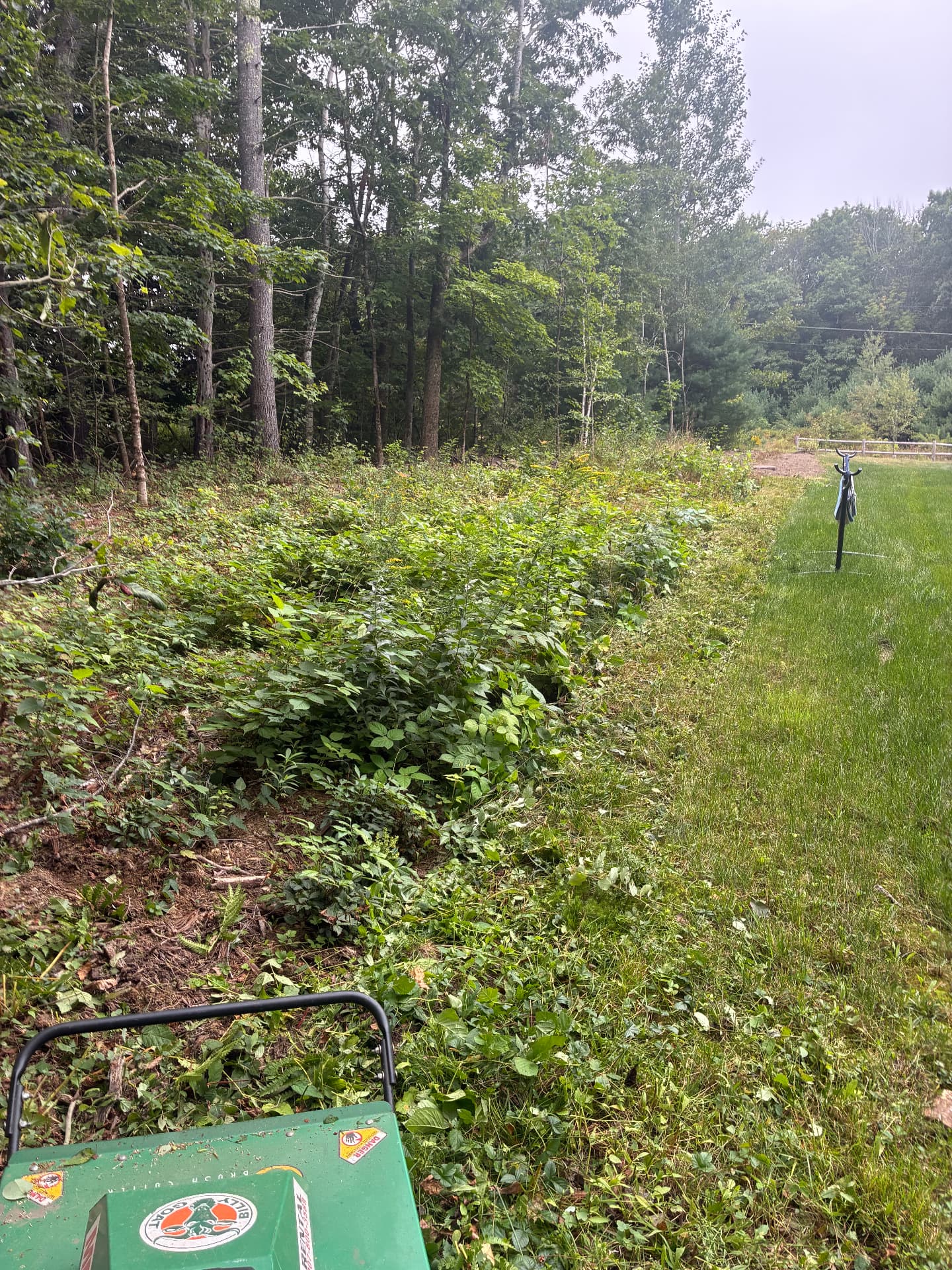 Brush hogging overgrown growth back along a woods line on a Maine property